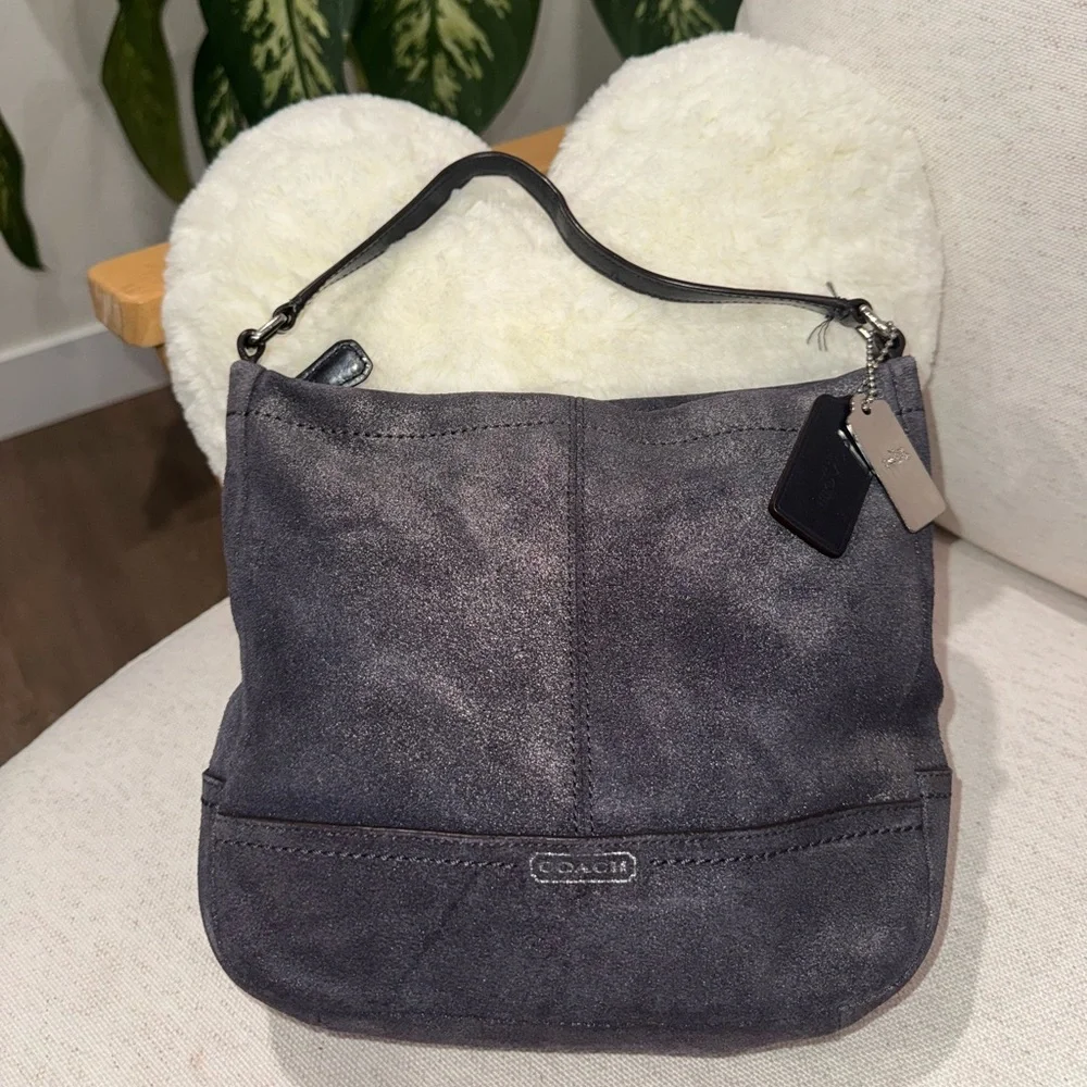 Coach Parkside Hobo Gray Shimmery Brushed Leather Shoulder Crossbody Bag #36897E